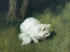 Arthur Heyer 1872 - 1931 Perserkatze im Gras Öl auf Lwd; H 33 cm, B 42,5 cm; signiert u. r. "Heyer