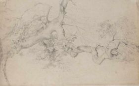 Verschiedene Zeichner des 19. Jh. Romantische Landschaftsmotive 5 Bleistiftzeichnungen auf Papier;