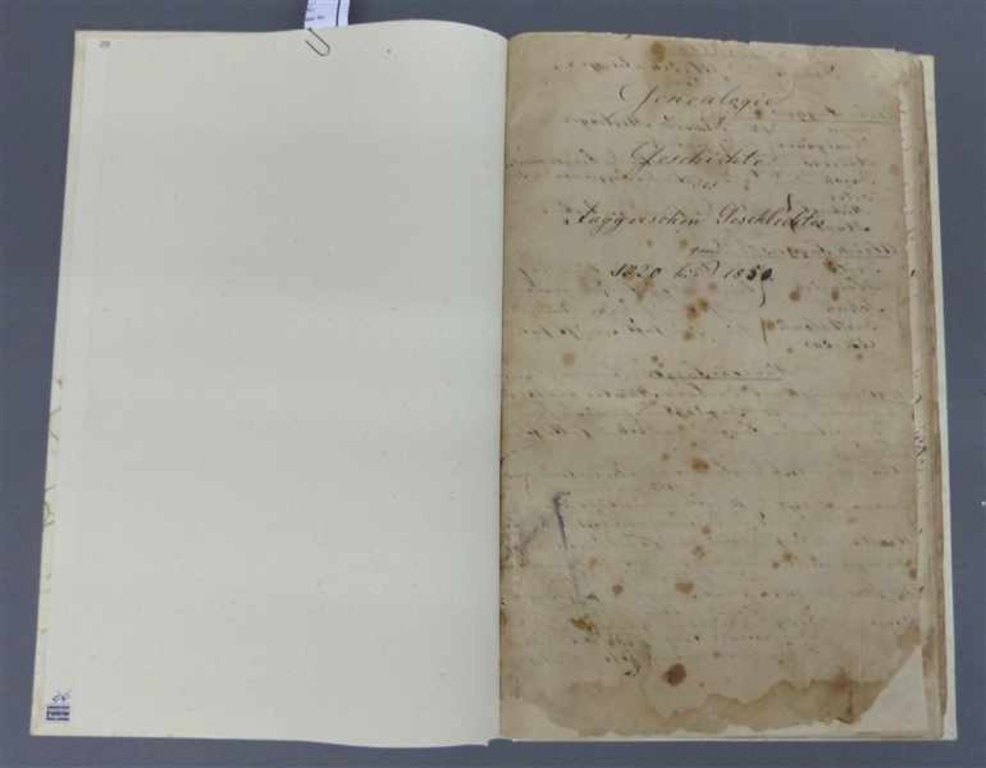 BuchFugger Genealogie, Faksimileausgabe, Geschichte des Fuggerschen Geschlechtes, 1720-1850,
