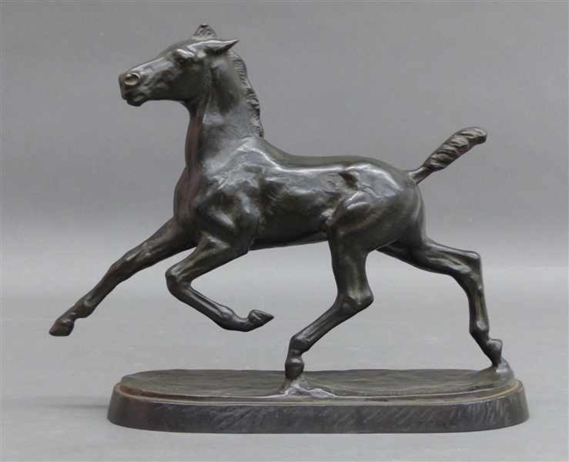 Bronzeskulpturtrabendes Pferd, signiert Albert-Hinrich-Hussmann, Hussmann lebte von 1874 - 1946,