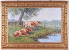 Unbekannt (Deutscher Maler, A. 20. Jh.) Öl/Lwd. Landschaft mit 2 Kühen auf der Weide. R. u. schlecht