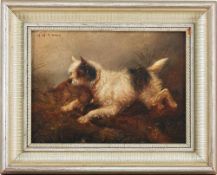Williams, Warren (Englischer Maler, 1808 - 1895) Öl/Presspappe. Terrier, einen Hasen apportierend.