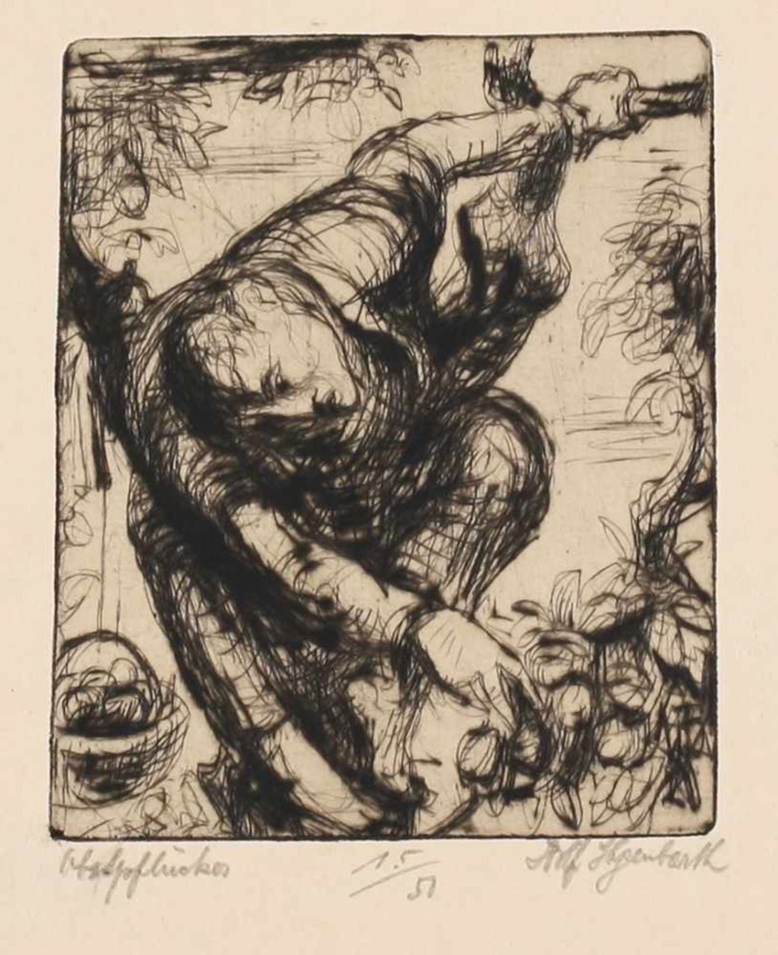 Hegenbarth, Josef (1884 Böhmisch-Kamnitz - 1962 Dresden) Radierung. "Obstpflücker". Aufl. 15/50.