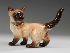 KatzeWeiß, glasiert. Darstellung einer jungen Siamkatze mit rückwärtsgewandtem Kopf. Naturalistische