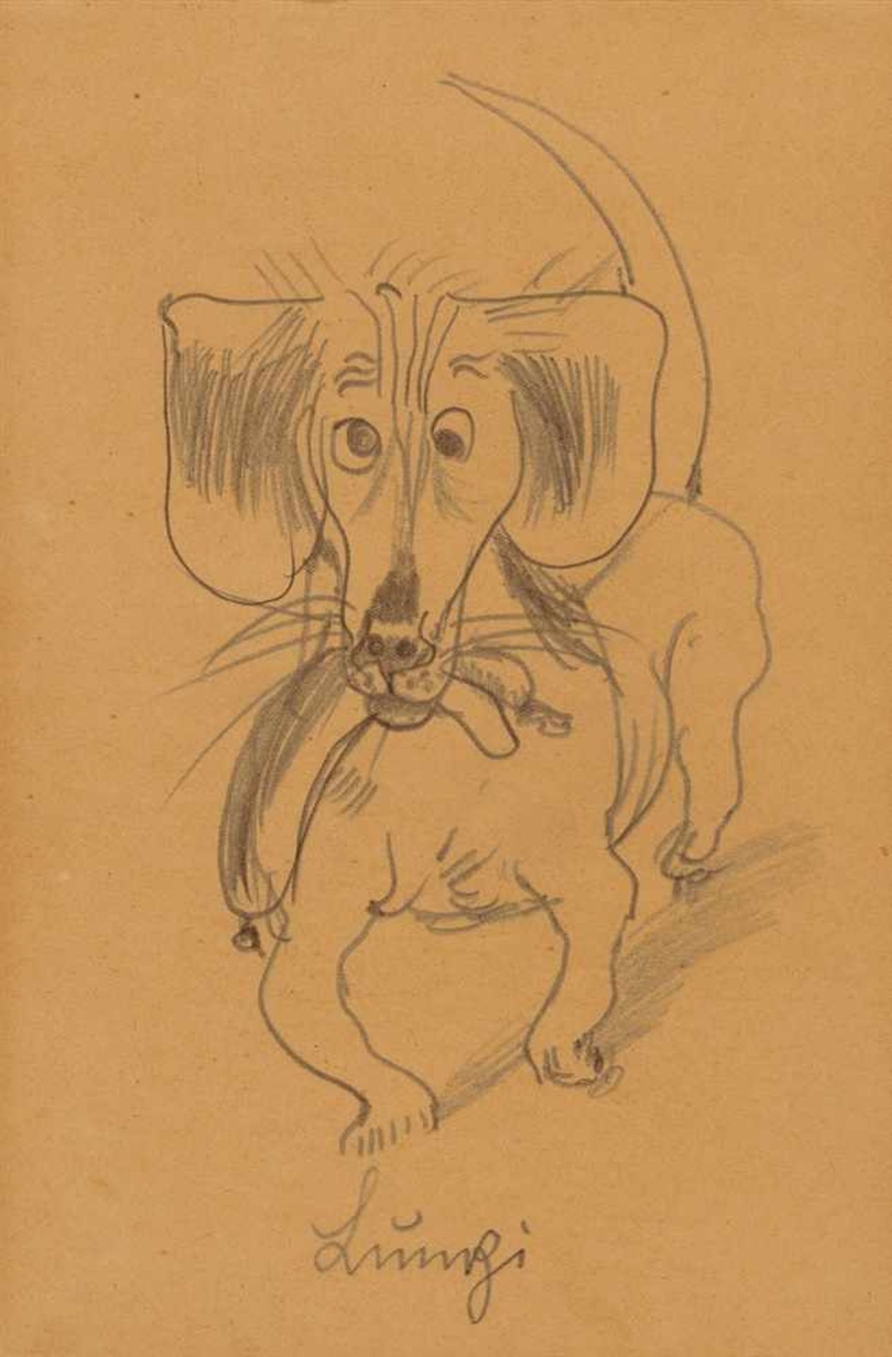 Otto DixLumpi Bleistiftzeichnung auf festem, fein strukturiertem Papier (Gästebucheintrag). 29,2 x