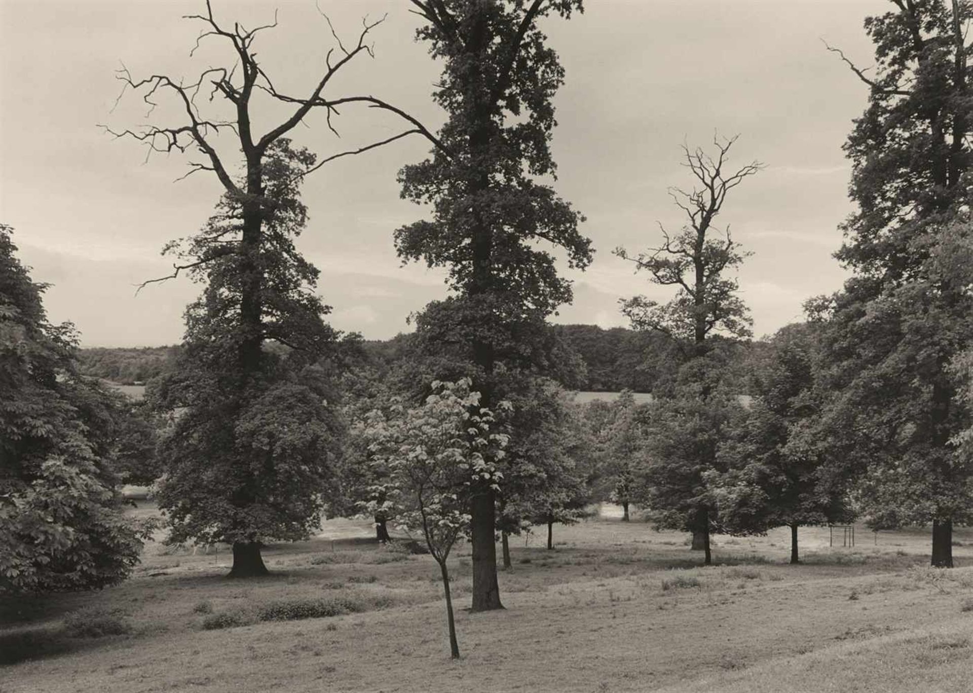 Albert Renger-PatzschParklandschaft, Cappenberg Vintage, Gelatinesilberabzug auf Agfa-Brovira-