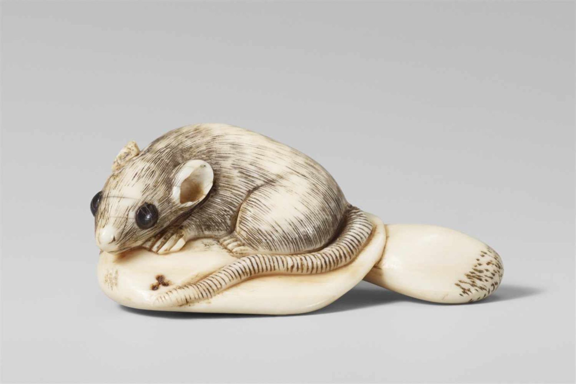 A fine ivory netsuke of a rat on a mushroom. Early 19th century Resting with paws wide apart on