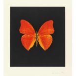 Damien HirstAus: MementoOriginal-Farbradierung auf Karton. 119,6 x 108,8 cm. Unter Glas gerahmt..