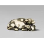 A good Tomotada-style ivory netsuke of a recumbent cow with calf. Early 19th centuryLying with