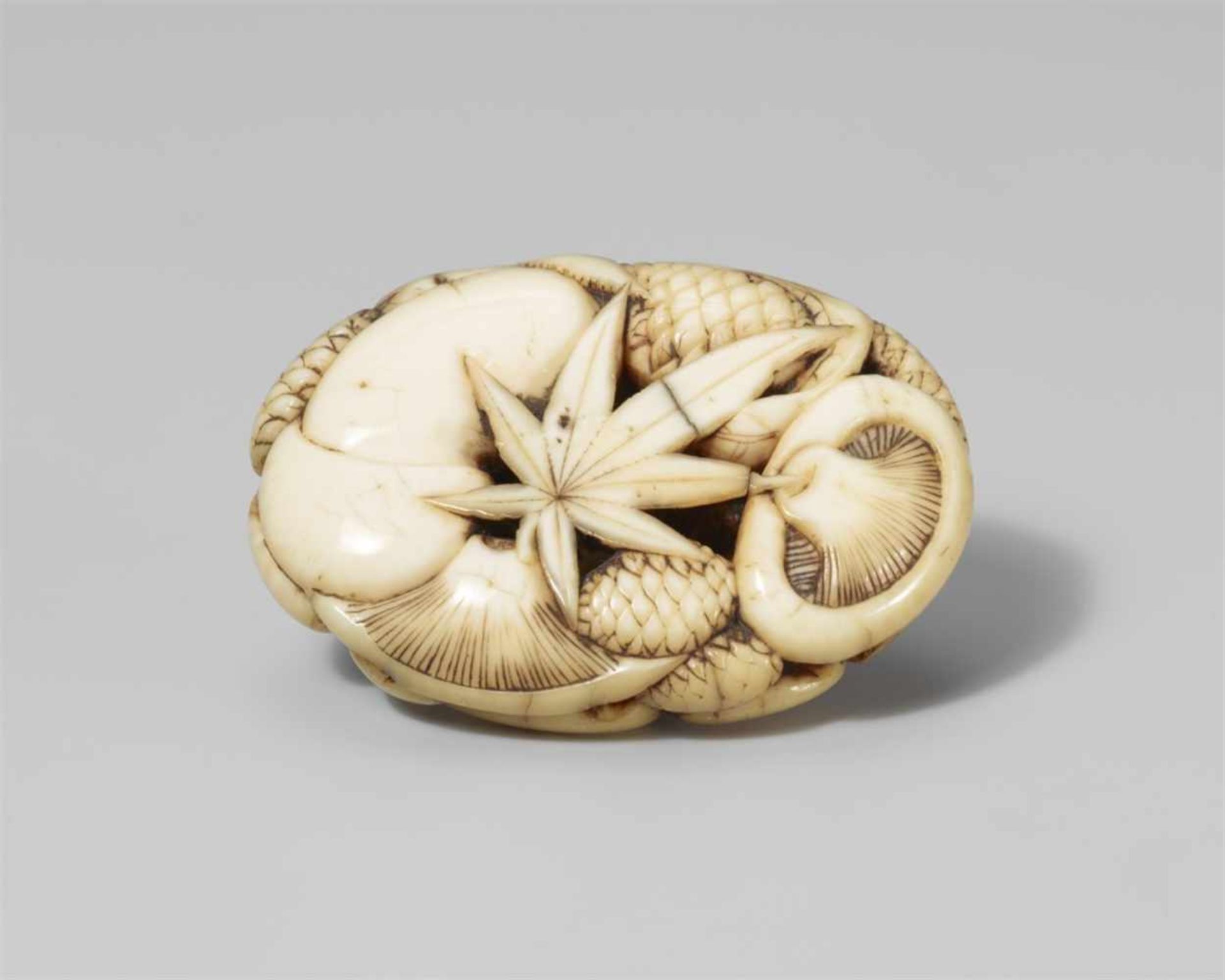A flat oval ivory ryûsa manjû of mushrooms, pine cones and leaves. Mid-19th centuryCarved with an