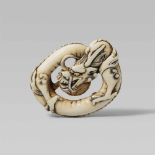 An ivory netsuke of a coiled dragon. Mid-19th centuryThe smooth body without scales slung into a