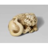 A good ivory netsuke of a reclining tiger. Early 19th centuryWith forepaws placed close together,