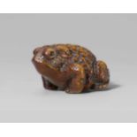 A boxwood netsuke of a toad. Mid-19th centurySquatting in typical pose with head turned slightly