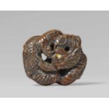 A good Tanba school wood netsuke of a dragon, by Toyokazu. Mid-19th centuryCoiled into an oval ryûsa