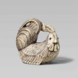 A very large ivory netsuke of a cockerel. 19th centurySeated with legs folded under, head turned