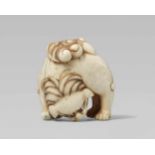 An unusual ivory netsuke of a shishi. Early 19th centuryStanding with legs wide apart and head