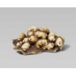 A stained ivory netsuke of a group of fifteen puppies. Late 19th centuryCrawling over each other