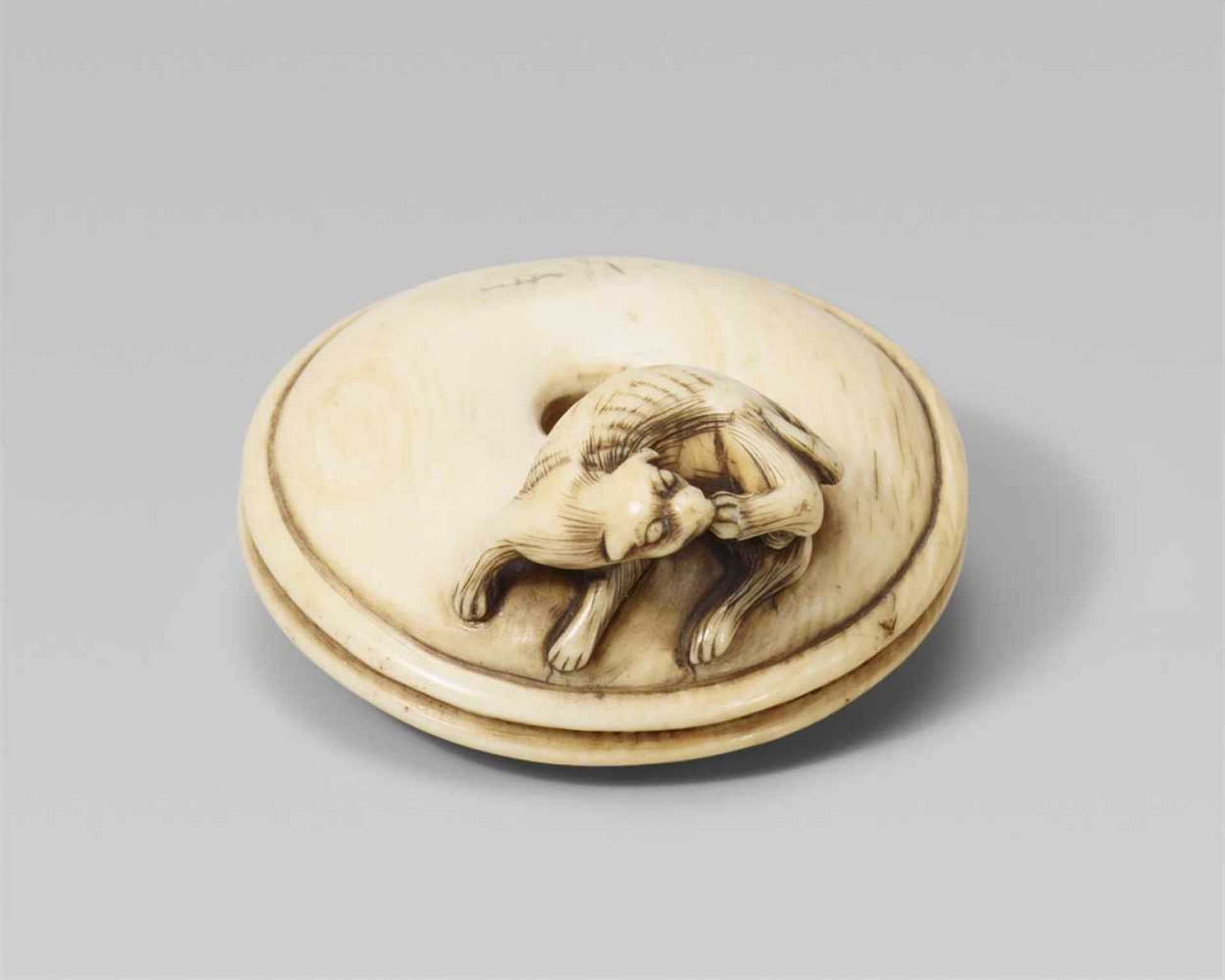 An ivory netsuke of a small skinny dog. 19th centuryReclining on a large round cushion with a