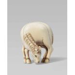 A large ivory netsuke of a grazing horse. Early 19th centuryStanding with head lowered, forelegs and