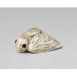 A rare ivory netsuke of a moth, by Shôsai. Early 20th centuryOf triangular shape, the wings covering