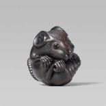 A large black wood netsuke of a rat rolled into a ballScratching its ear and placing the other