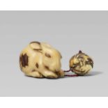 An unusual corozo nut netsuke of a crouching rabbit. 19th centuryWith head lowered and licking its