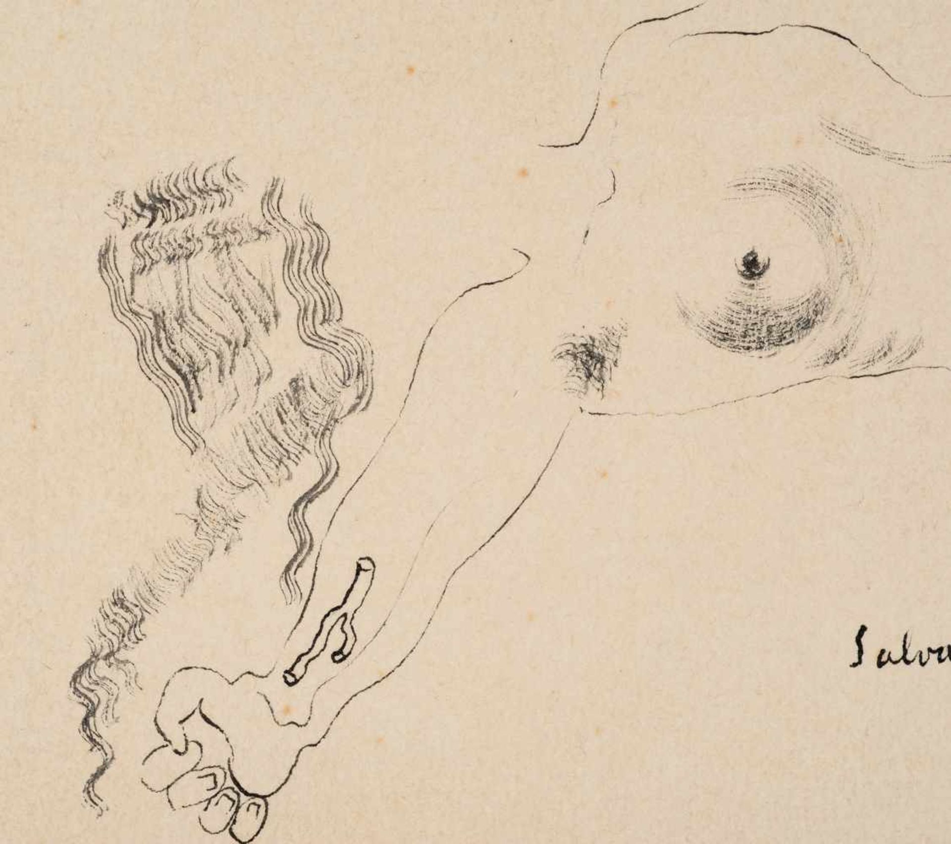Salvador Dalí (Figueres, 1904 - 1989) Ink drawing on paper. Signed and dated in 1927. This is a - Bild 2 aus 4