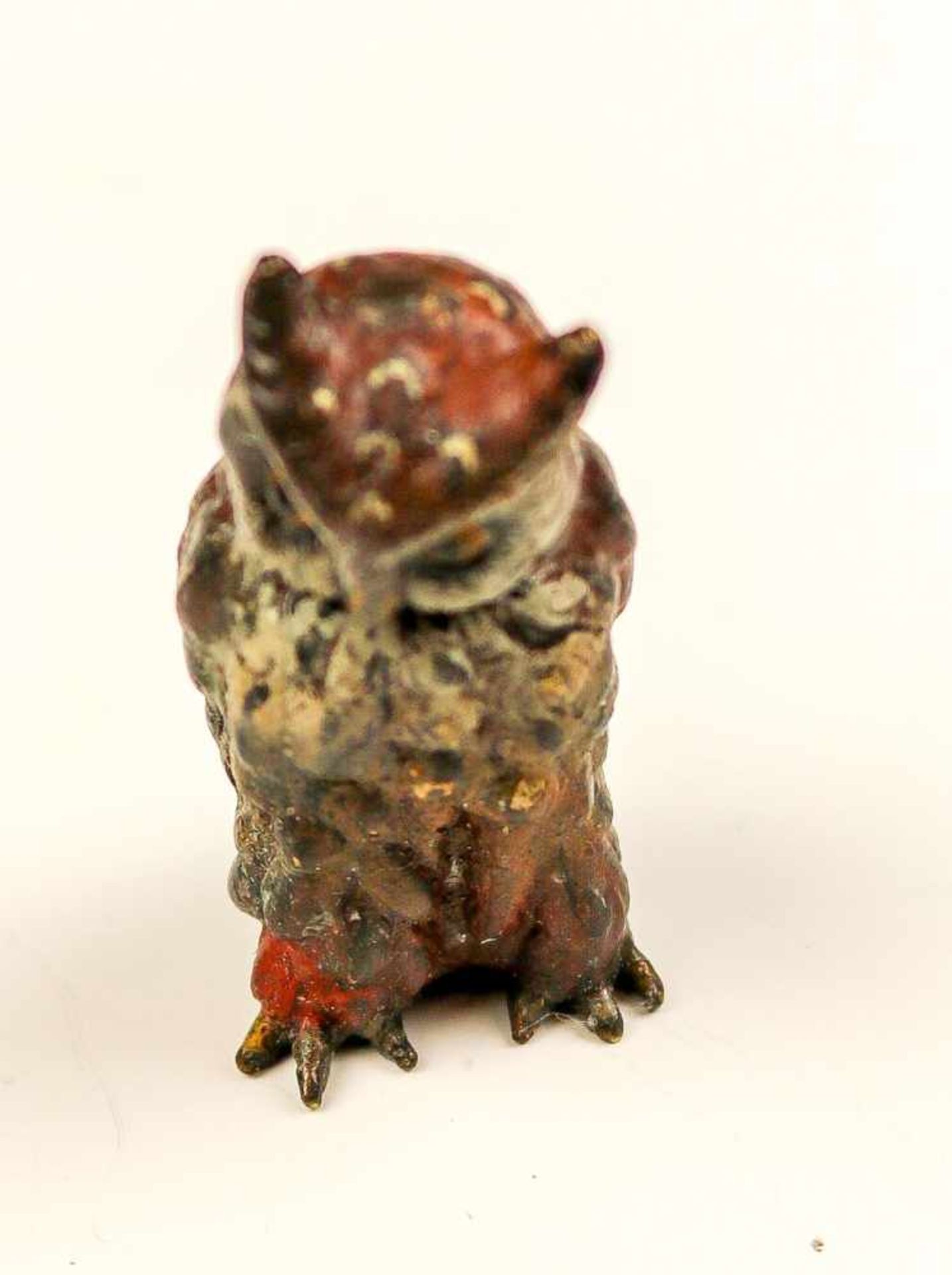 Wiener Bronze Uhu.Naturalistisch bemalt. H. 4 cm.(57720)