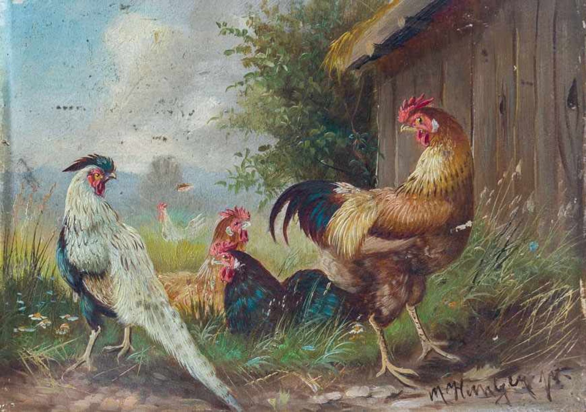 Hänger, Max, Junior (München, geb. 1898) Konkurrenz.Italienerhahn und Glucken, einen anderen Hahn