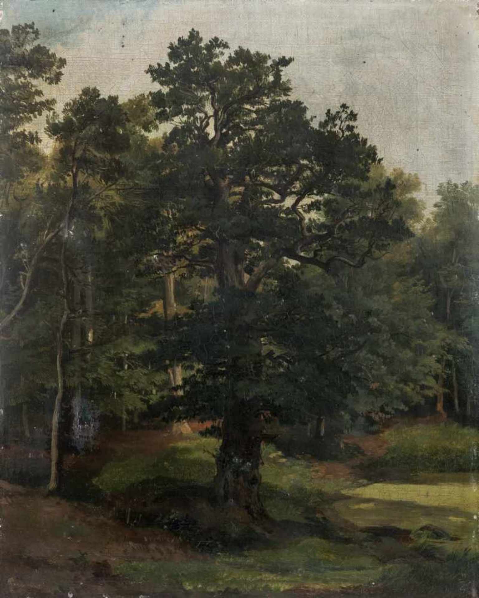 Preller, Friedrich I. (Eisenach, Weimar 1804-1878) d. ÄltereMächtige EicheLwd. (Loch). 34×27 cm.