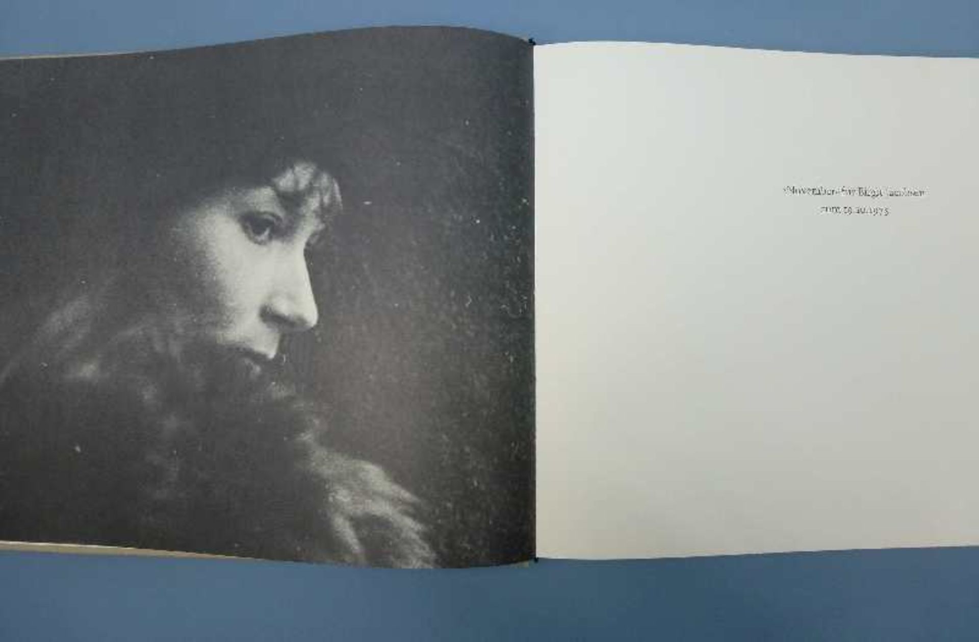 Horst Janssen, November Verlag Galerie Peerlings, signiert, im Schuber, guter Zustand, Format - Bild 2 aus 3