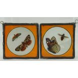 Two coloured glass panels, depicting butterflies, 11cm x 11cm approx.