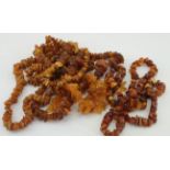 Five natural amber bead necklaces, various lengths