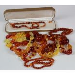Six amber and similiar necklaces, various lengths and sizes (a couple with some damaged)