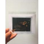 Untitled is polaroid which has been destroyed by the photographer, Claire Righini-Brand.