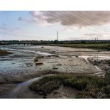 A signed print titled Kingfisher and Egret, from the series titled Estuarine Mud. Tom Owens is an