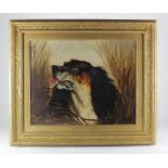 Attributed to John Alfred Wheeler (1821 - 1903), oil on board, depicting a King Charles Spaniel,