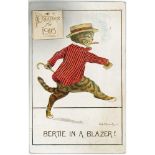 Cats - a Violet Roberts humorous novelty postcard "Bertie in a Blazer" with 1916 calendar attached.