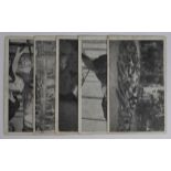 Benito Mussolini, rare grizzly plain back b/w photographs of Mussolini and Clara Petacci, after