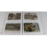 Animals - wide ranging collection of old postcards in modern album (approx 61)