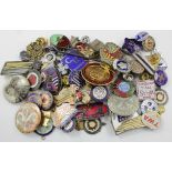 Badges (61 approx) - various.