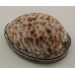 Silver mounted cowrie shell snuff box, circa 19th Century (?), hallmarks rubbed, lid with ornate