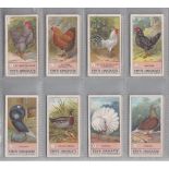 Trade cards, Fry's, Fowls, Pigeons & Dogs (set, 50 cards) (gen gd)