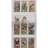 Cigarette cards, USA, Allen & Ginter, Birds of the Tropics (3, gd), Song Birds of the World (2,
