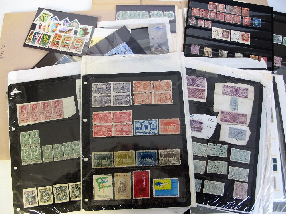 Stamps, GB & World collection in 5 folders, mint and used with many Cinderella's & Revenue stamps