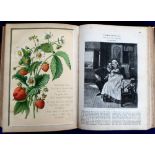 Book, 'The Sunday at Home Magazine' 1884, hardback edition, printed by William Clowes, 828 pages. (