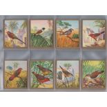 Cigarette cards, Germany, Aurelia, 'Farbenpracht und Formenreichtum in der Vogelwelt' (Birds of