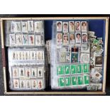 Cigarette Cards, Players and Wills, vast accumulation of cards mostly in sleeves plus some loose,