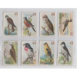 Trade cards, USA, Church & Dwight, Useful Birds of America, all 'M' size, First Series (set, 30