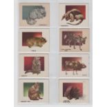 Trade cards, USA, Topps, Animals of the World (92/100, missing nos 105, 161, 162, 164, 167, 169, 179